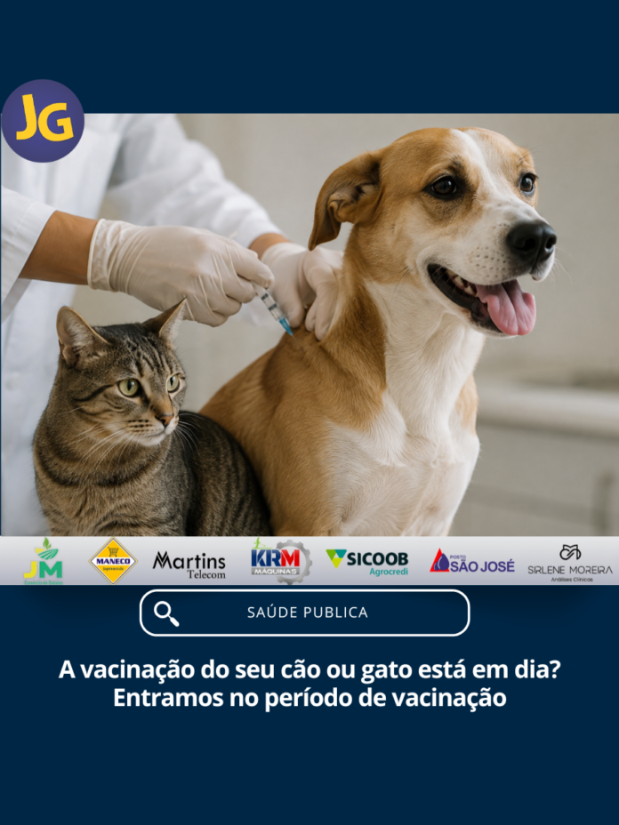 capa do feed 1